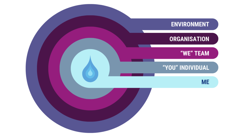 5 Key Dimensions Circles of Leadership by MDI