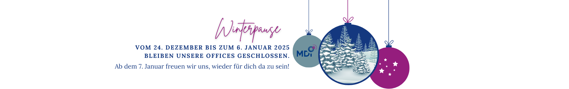 Website Winter Break Banner ENDE